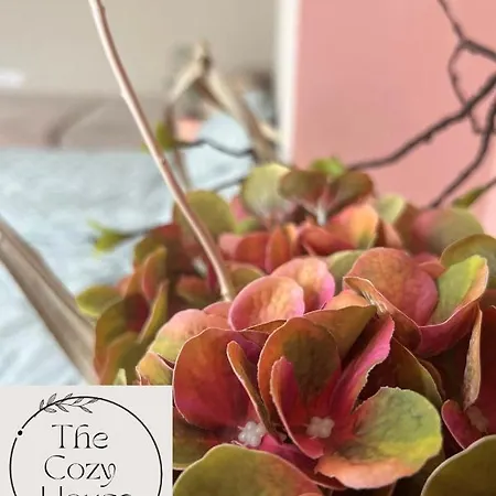 Thecozyhouse * 诺威萨