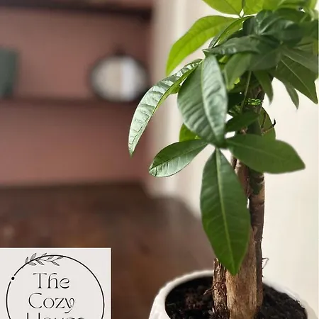 Apartman Thecozyhouse