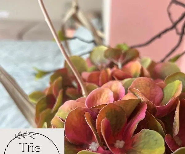 Thecozyhouse * Novi Sad